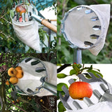 1/2 piezas, Herramienta de Jardinería Agrícola para Recolección de Frutas en Altura - Recolector Portátil de Metal