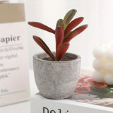 Juego de 10 Mini Suculentas Artificiales - Plantas Falsas de Plástico Modernas en Macetas de Concreto Gris para Decoración del Hogar, Jardín, Acuario y Bonsái