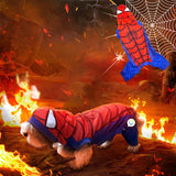 Disfraz Perro Gato Mascotas Superhéroe Halloween GD01SPIT