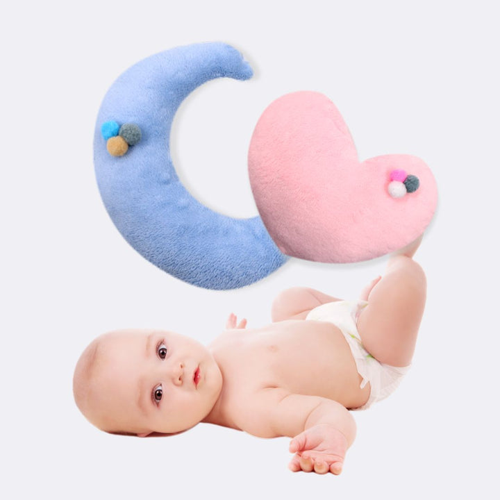 ALMOHADA DECORATIVA 1225 JANELS