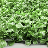 Jardín Vertical Artificial Panel 40x60 Muro Follaje Ecológico RF 4060-2