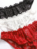 3 Piezas Ropa Interior De Encaje Sexy Para Mujeres