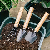 Juego de Tres Palas Metálicas para Jardinería, Herramienta Mini para Trasplante y Desenraizamiento con Mango de Madera, Diseño Antideslizante para Plantas en Macetas y Suculentas