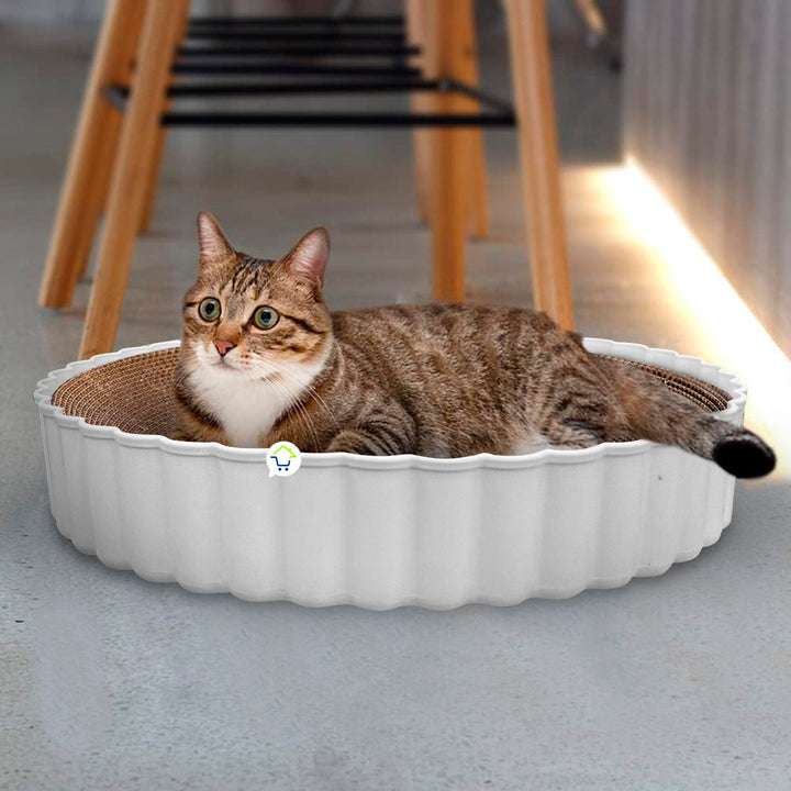 Rascador Para Gatos Catnip Anti Estrés Cartón Corrugado SC2112-217