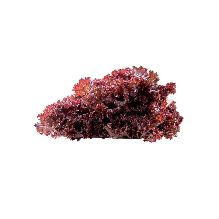 LECHUGA MORADAVEGGIES 200G BOLSA