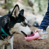 Bebedero Portátil Mascotas Termo Perros Gatos Dispensador Agua RF 0051