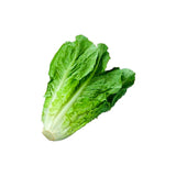 LECHUGA ROMANA HORTIFRESCO 180G ORGNICA