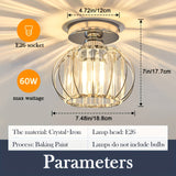 1 Lámpara de Techo Semi-Encajada Pequeña con Cristales, Luz de Jaula Metálica Estilo Granja para Iluminación Interior en Salón Pasillo Baño Entrada Cocina, Bombilla E26 No Incluida