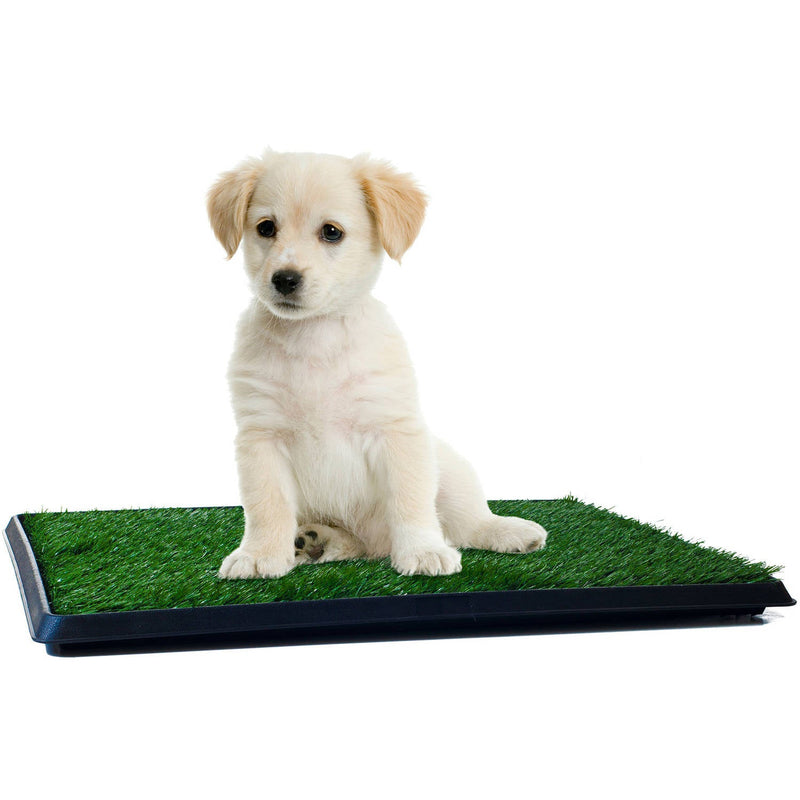 Tapete De Entrenamiento Interiores Perros Pequeños Puppy Pad