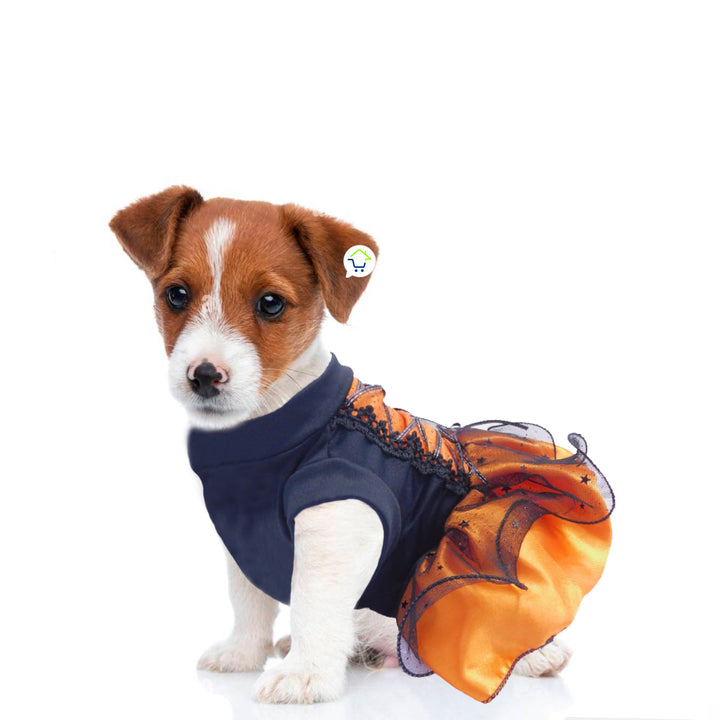 Disfraz Bruja Para Perro Gato Mascotas  Halloween GD01BRUJN