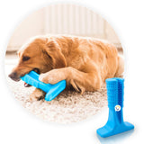 Juguete Cepillo Dientes Grande Mascota Rasca Encías 138287G