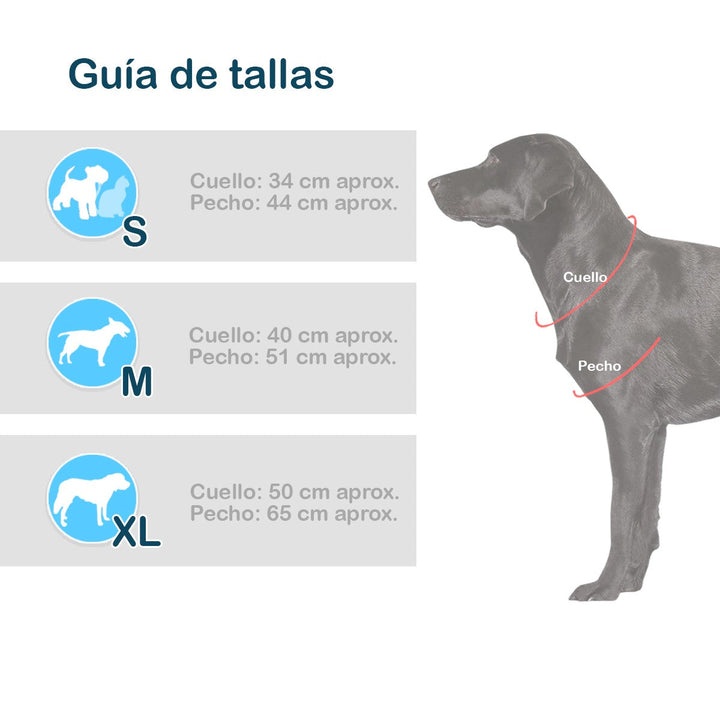 Disfraz Perro Gato Mascotas Hada Halloween GY002HA