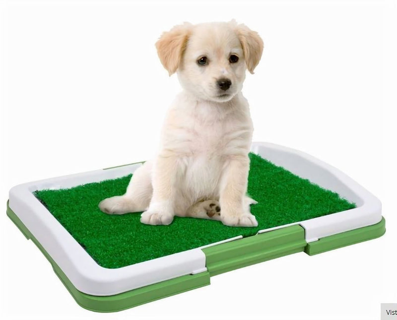 Tapete De Entrenamiento Interiores Perros Pequeños Puppy Pad