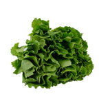 LECHUGA ESCAROLA HORTIFRESCO 120G ORGANI