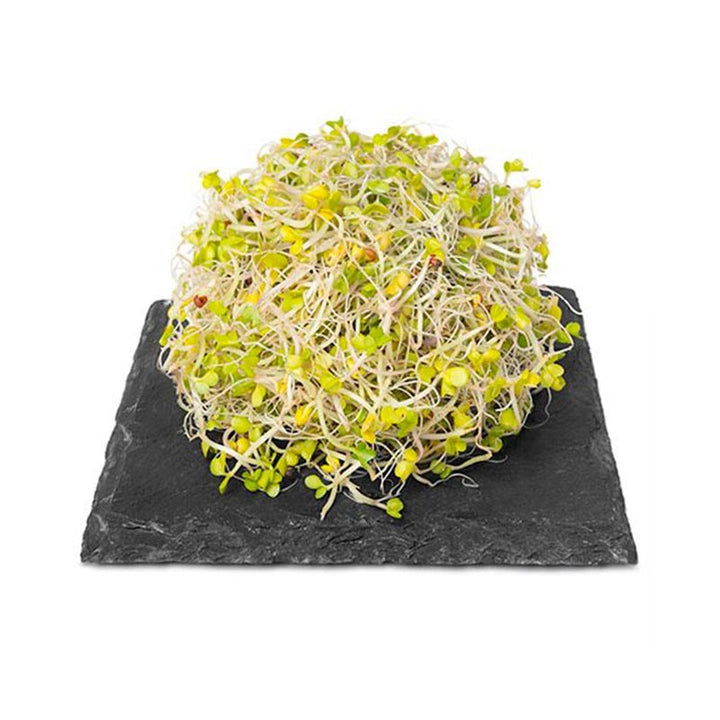 BROTES BROCOLI HORTIFRESCO 30G