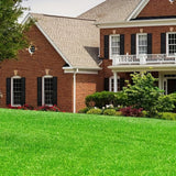 1 Rollo/2 Roldos de Césped Artificial para Bodas, Fiestas, Balcones, Patios, Camping - Plástico Duradero, No Necesita Riego ni Recorte, 6.60 pies/3.32 pies, Aspecto Natural y Mantenimiento Fácil, Decoraciones de Césped al Aire Libre, Verde de Fiesta, Cés