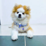 Collar Corbatín Con Cascabel Perros Gatos Correa Mascotas MAS44