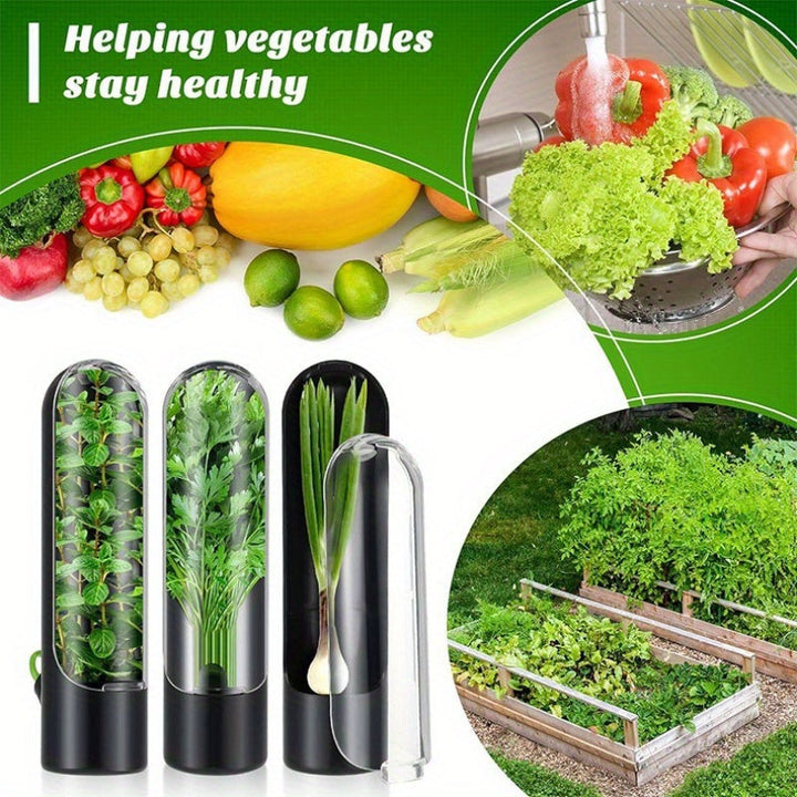 Recipiente de almacenamiento de alimentos de vainilla, dispositivo para verduras, taza fresca de vainilla, contenedor de brotes de bambú, recipientes para verduras en el refrigerador, contenedores para hierbas y cilantro, conservador de comida para nevera