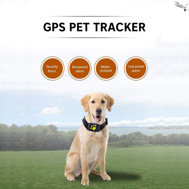 Collar Rastreador GPS para Mascotas