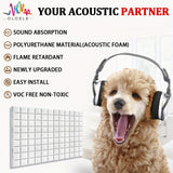 Paneles de espuma acústica OLOBLB, 12/24 unidades, 12x12x2 pulgadas, material de esponja de hongo de alta densidad, tableros de absorción de sonido para paredes y puertas, no tóxico, retardante de llama, fácil instalación, para accesorios de equipo de gr