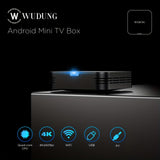 Caja de TV WUDUNG W01, Android 10, chipset Allwinner H313