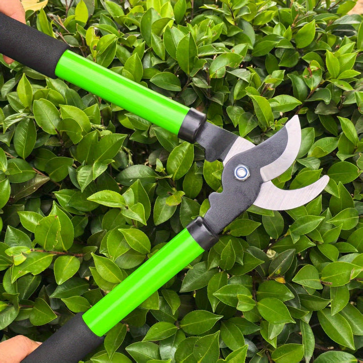 Cortacésped de jardinería de alta resistencia - Hojas de precisión SK5 para ramas de árboles frutales, aspereza de arbustos, mangos verdes y rojos, no requiere electricidad, herramienta de poda de árboles, herramienta de jardinería tradicional