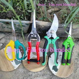 Tijeras de podar para jardín, juego de 4 piezas - Tijeras de fruta de acero inoxidable ambidiestras, podadoras manuales de derivación para el mantenimiento de jardines y bonsáis, recolección de uvas, poda de árboles y ramas sin electricidad ni baterías.