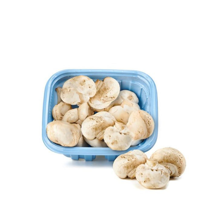 CHAMPINON SETAS 250G ENTERO BLANCO VD