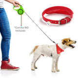 Collar Pañoleta Pequeña Perros Correa Bandana Mascotas 4269-60