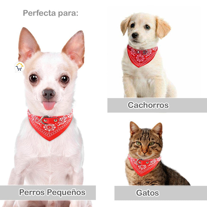 Collar Pañoleta Pequeña Perros Correa Bandana Mascotas 4269-60