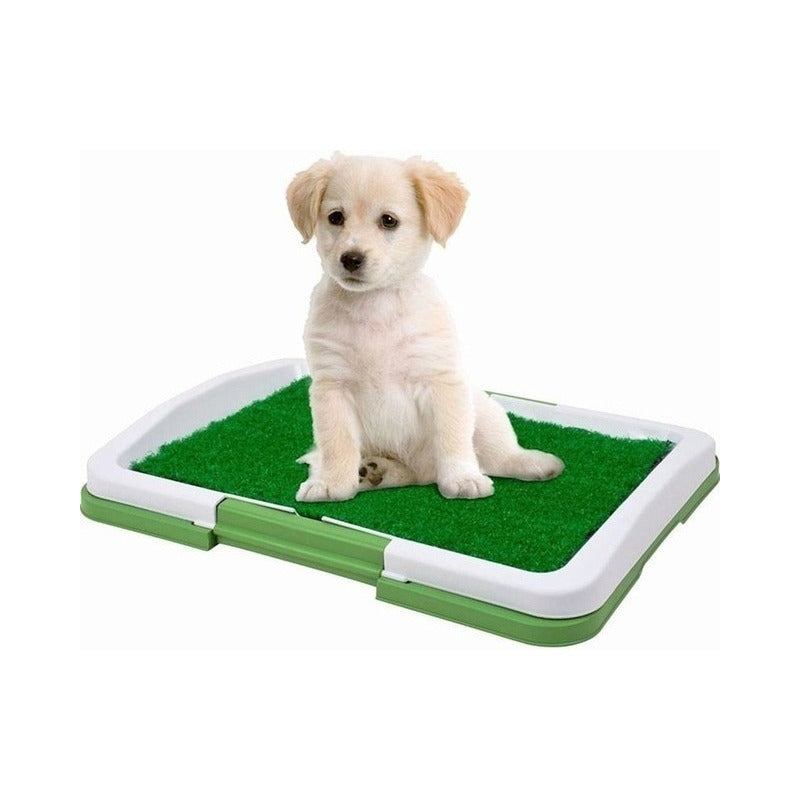 Tapete Entrenamiento Para Perros Potty Patch Grande 3 Capas