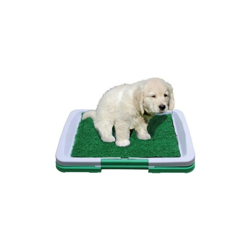 Tapete Entrenamiento Para Perros Potty Patch Grande 3 Capas