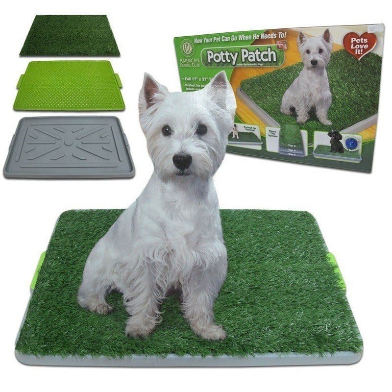 Tapete Entrenamiento Perros Potty Patch Grande + Regalo