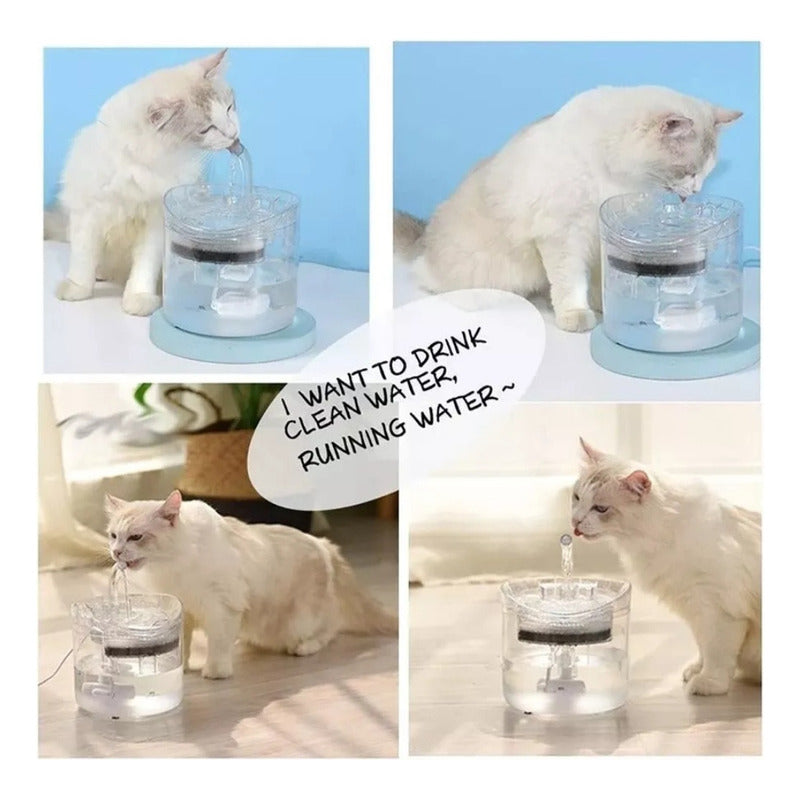 Fuente De Agua Para Mascotas Gatos Silencioso Automatico