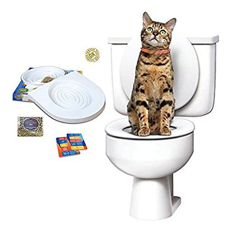 Kit Entrenamiento Baño Para Gatos City Kitty