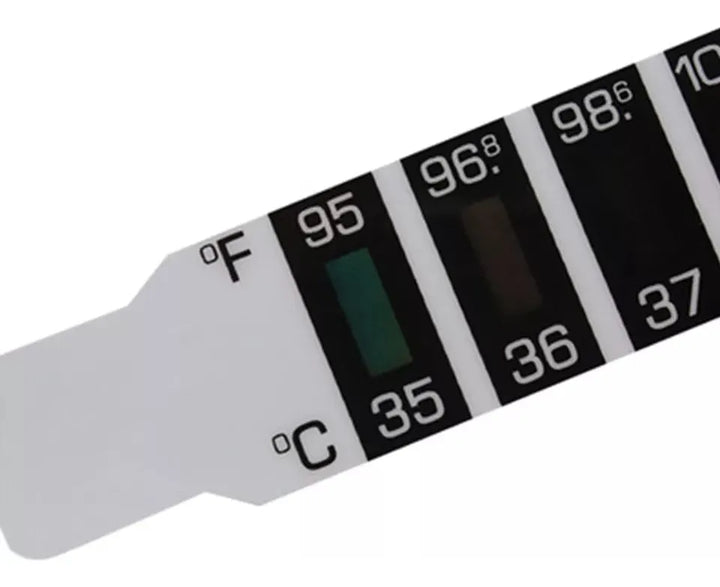 Termómetro Infantil Digital + Obsequio