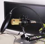 Microfono Condensador Semiprofesional