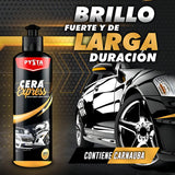 Kit Completo De Limpieza Vehicular Shampoo Cera Restaurador