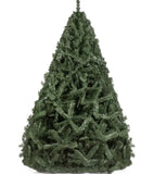 Árbol De Navidad Pino Imperial De 2 Metros. Verde