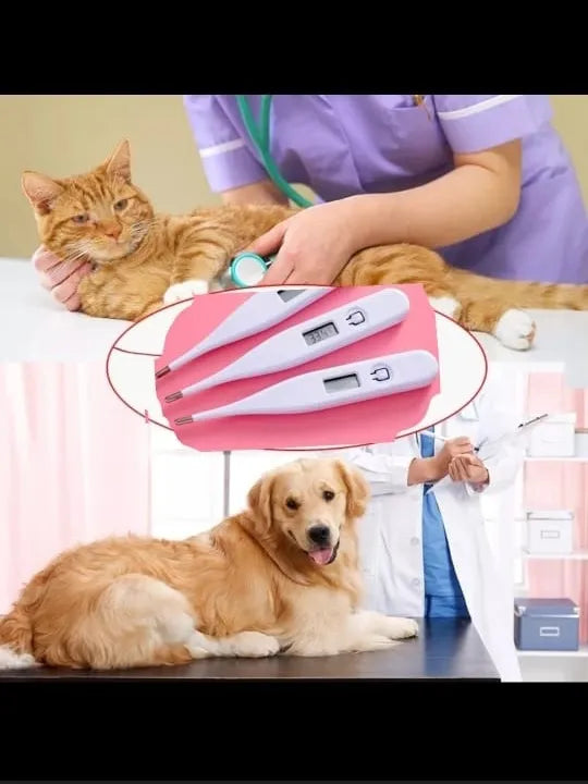 Termometro Digital Electronico Para Mascotas Perros Gatos