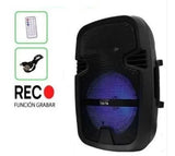 Parlante Cabina De Sonido Profesional Bt + Microfono 6.5' Negro