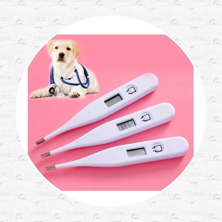Termómetro Digital Electrónico Para Mascotas Perros Gatos