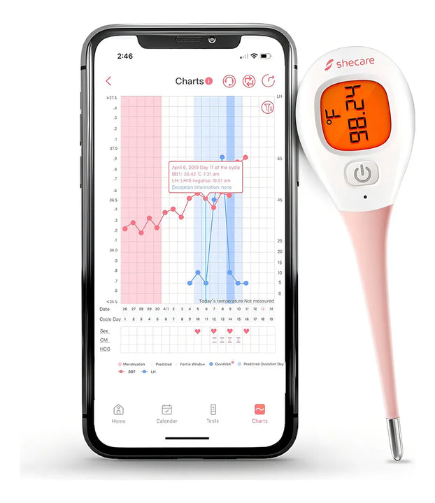 Termómetro Corporal Basal Digital Bbt Shecare