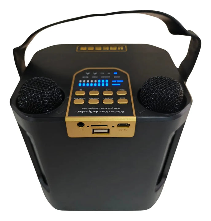 Parlante Portatil Bluetooth Karaoke 2 Micrófonos Inalámbrico Negro