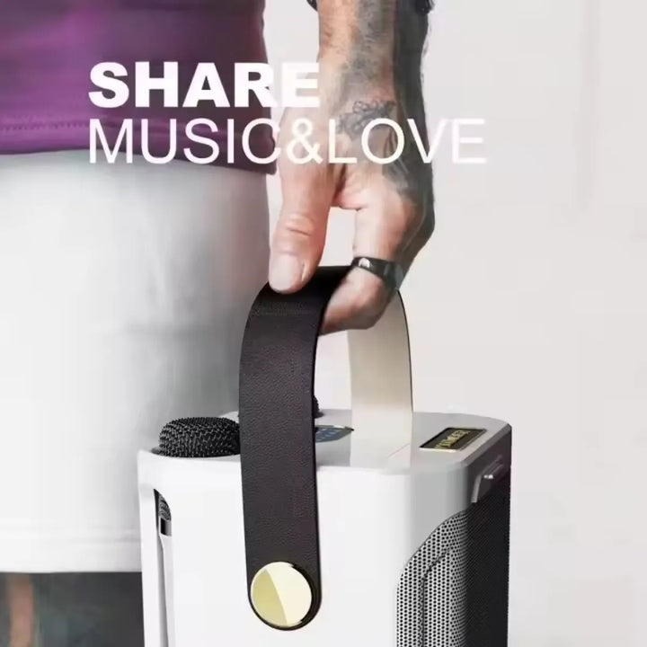 Parlante Portatil Bluetooth Karaoke 2 Micrófonos Inalámbrico Negro