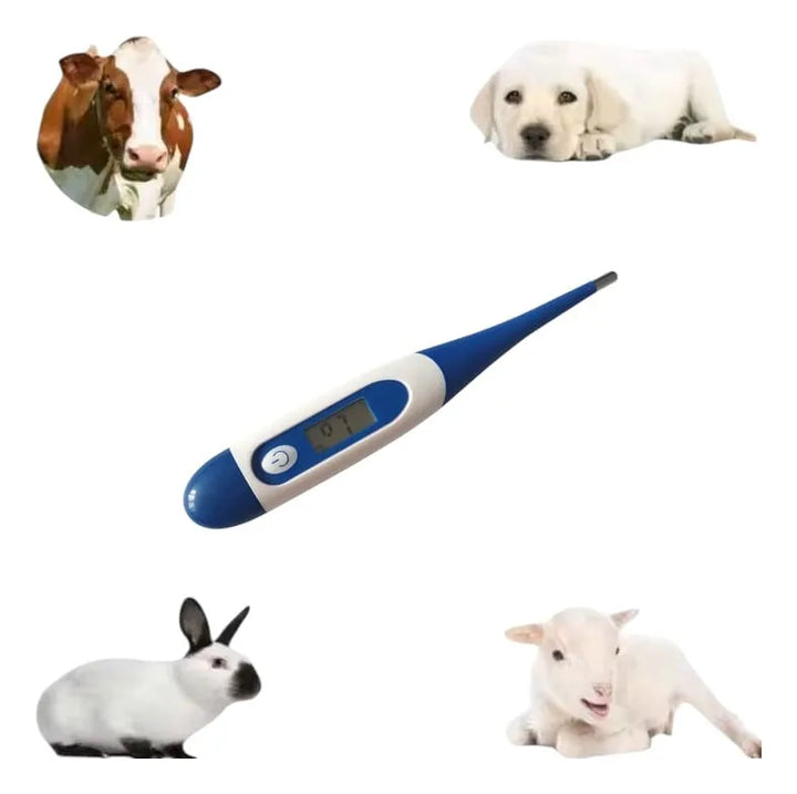 Termometro Digital Electronico Para Mascotas Perros Gatos