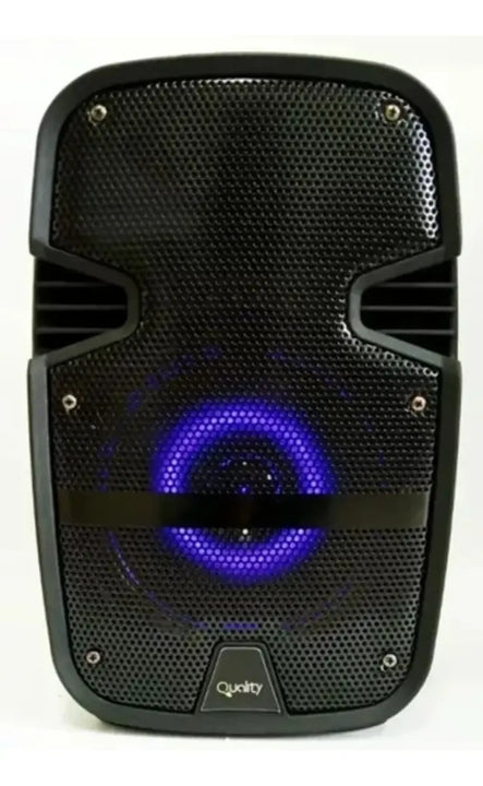 Parlante Cabina De Sonido Profesional Bt + Microfono 6.5' Negro