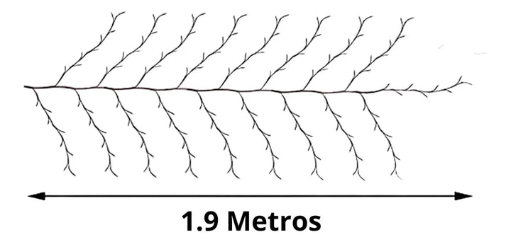 Intalacion Rama Espiga Led X288 Luces Decoracion Navideña Amarillo