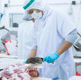 Cuchillo Cabeza De Pezcado Plateado