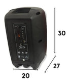 Parlante Cabina De Sonido Profesional Bt + Microfono 6.5' Negro